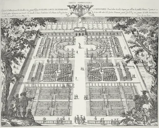 Diseño de jardín de 